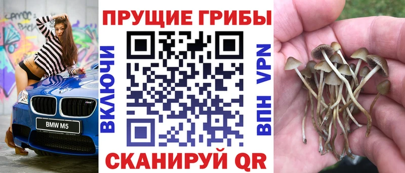 Псилоцибиновые грибы мицелий  Купить  Ахтубинск 
